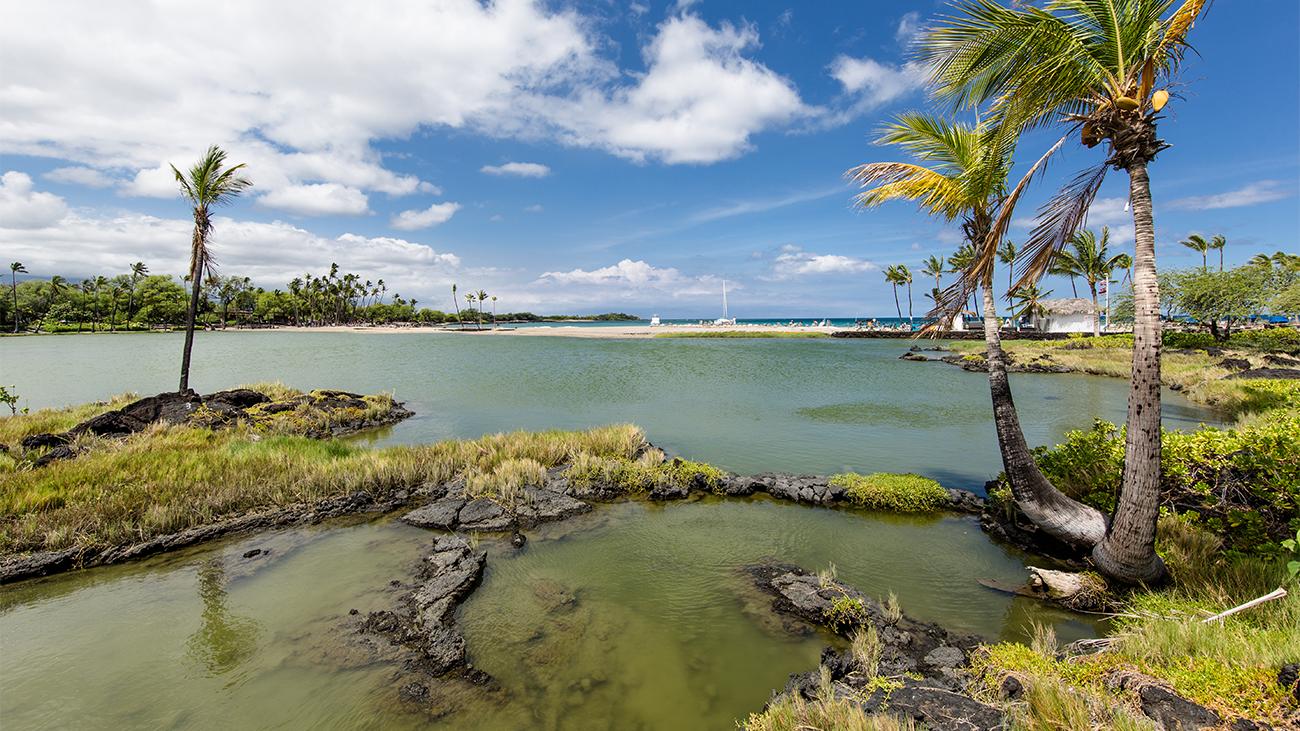 Ancient Fish Ponds